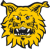 Ilves